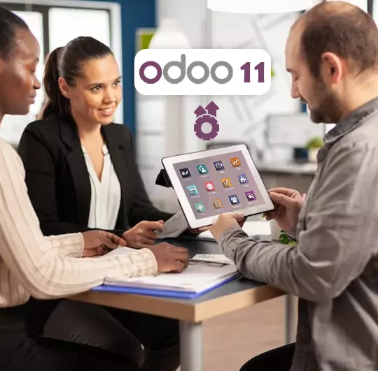 Launching Odoo 11